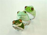 Noble Frog rings