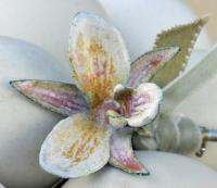 Pale Pink and White Dendrobium Orchid Pin