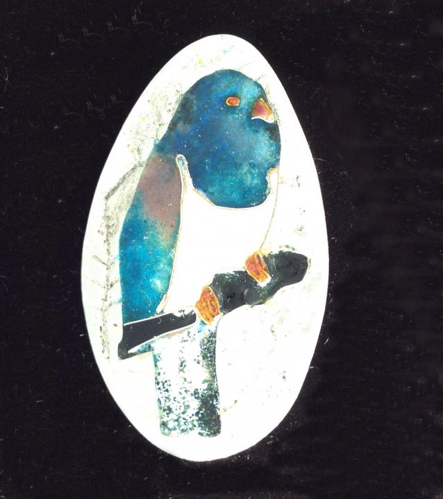 NZ-Pigeon brooch