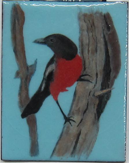 Crimson-Breasted-Bushshrike-2