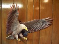 Eagle on attack