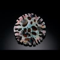 2011-haeckel-ocean-series-barnacle