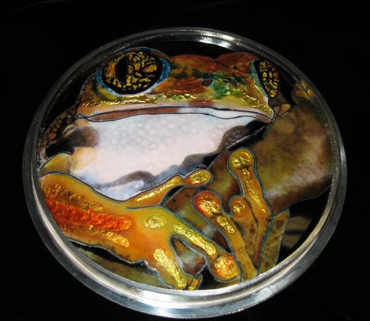 tree frog enamel