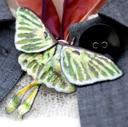 Luna Moth