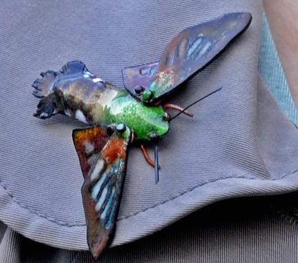 Snowberry Clearwing Moth worn as a brooch