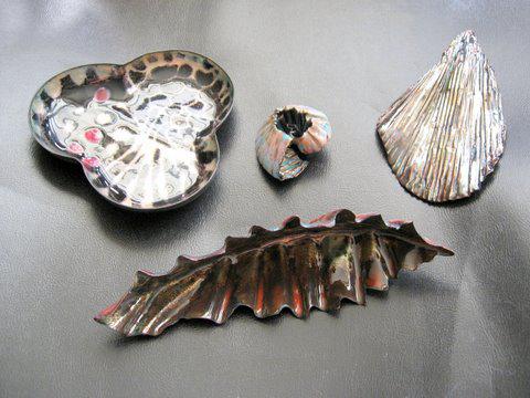 Enameled bowl, shells and leaf.