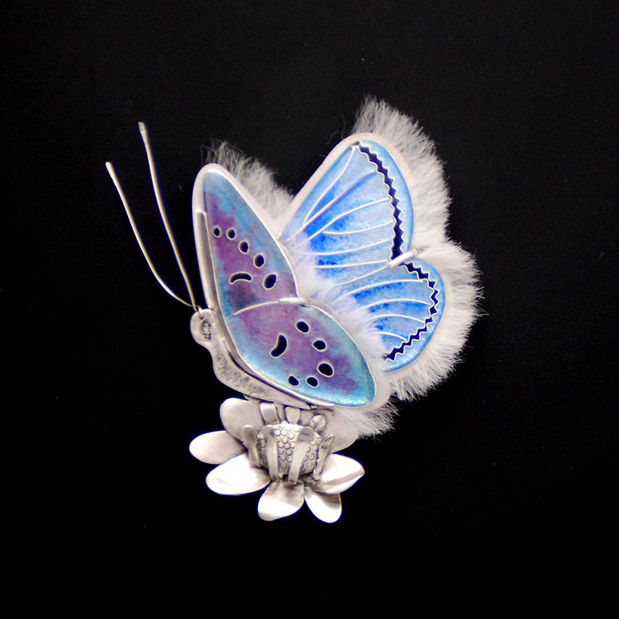 Mission Blue Butterfly